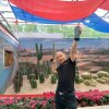 平凡度春秋的头像