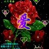 城 开开心心的头像