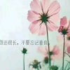 余生安好的头像