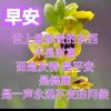 海鱼姐的头像