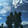 home的头像