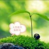 开心贝贝刘子帆的头像