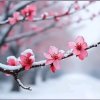 暗香的头像