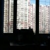 亚田的头像
