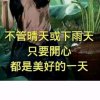 我家小厨师的头像