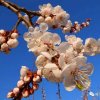 钉钉的头像