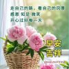 冬雪养 的头像