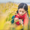 花屿梦的头像