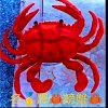 西族螃蟹的头像