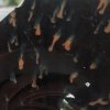 九道神龙的头像