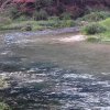 那片海的头像
