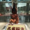 笑星的头像