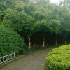 安逸的头像