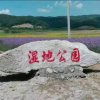 无奈的头像
