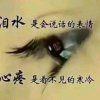 让心归零的头像
