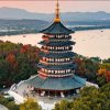 小廖的头像