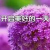 快乐一生的头像
