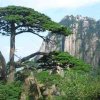 快乐人生的头像