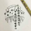 流浪哥的头像