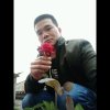 西伯利亚狼的头像