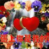 曾惜的头像