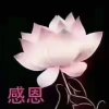 @永远520的头像