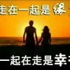 琴声从头再来的头像