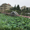 夏雨 的头像