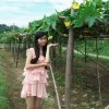我爱明天的头像