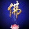 梅子的头像