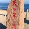 成长的林的头像