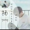 杨的头像