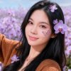 阿妹已停唱的头像
