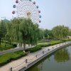 栀夏的头像