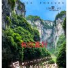 平安四季的头像