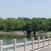 望子成龙的头像