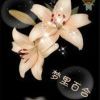 百合的头像