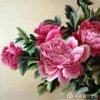 晓兰的头像