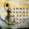 谁说梅花没有泪的头像
