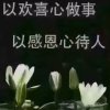 顺其自然的头像
