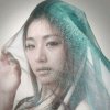 疯子般の我的头像