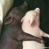 &&@的头像