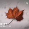 一帘幽梦的头像