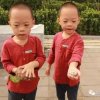 安安顺顺姥姥的头像