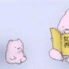止。的头像