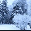 一生无悔的头像