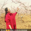 云端的头像