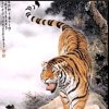 一虎的头像