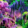 幸 福 永 远的头像