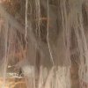 根己悬的头像